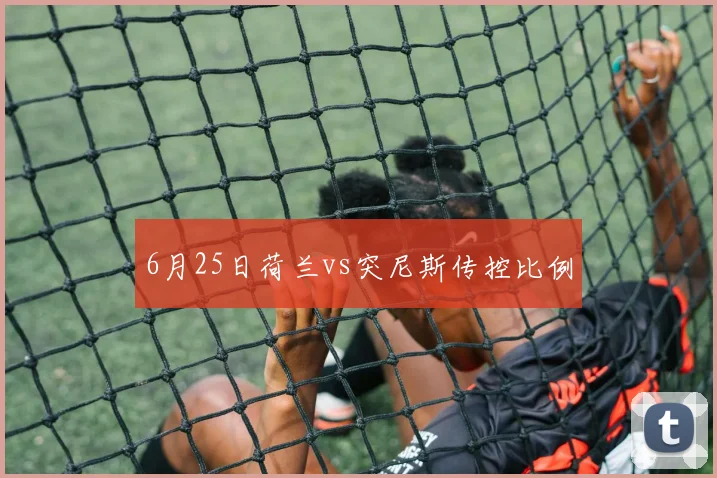 6月25日荷兰vs突尼斯传控比例