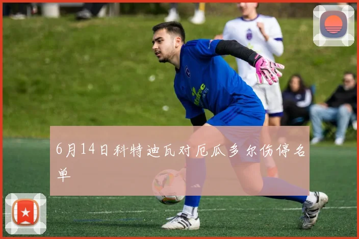 6月14日科特迪瓦对厄瓜多尔伤停名单